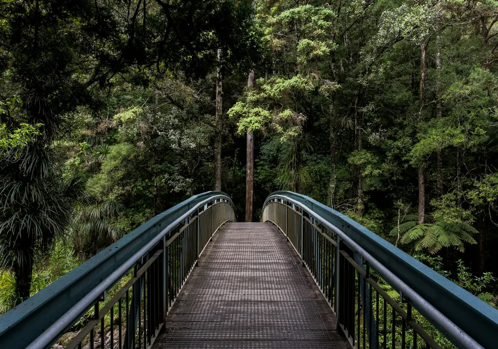 A laid walkway running through estate woodland