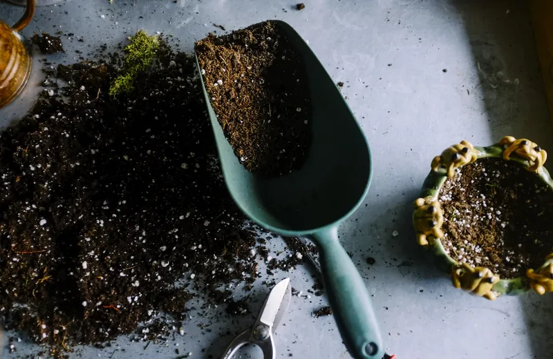 Soil and hand tools on a workbench