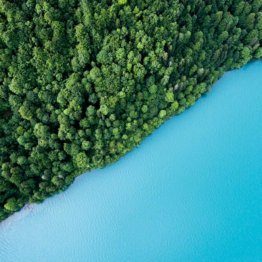 Forested estate frontage on still water