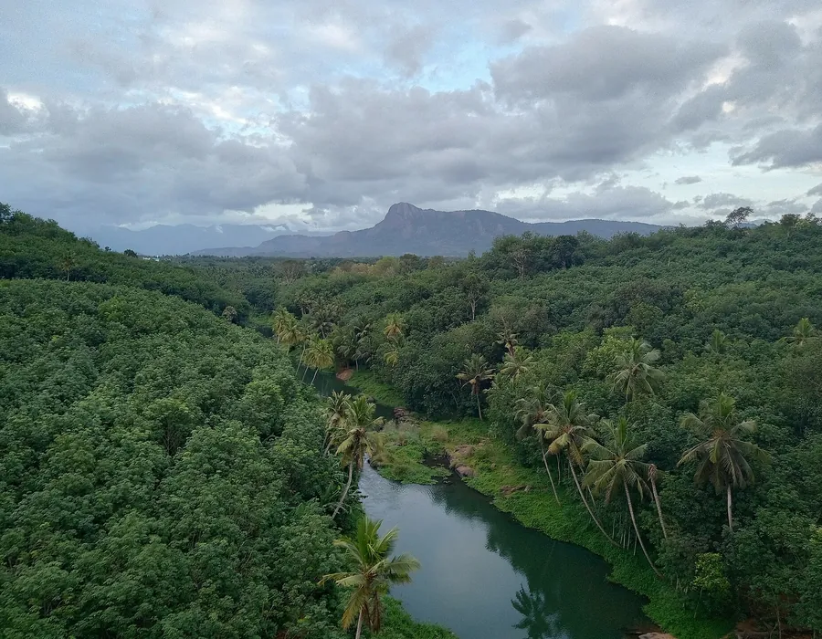River boundary running past a plantation holding