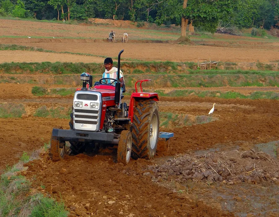 Ploughing ahead of a new planting programme