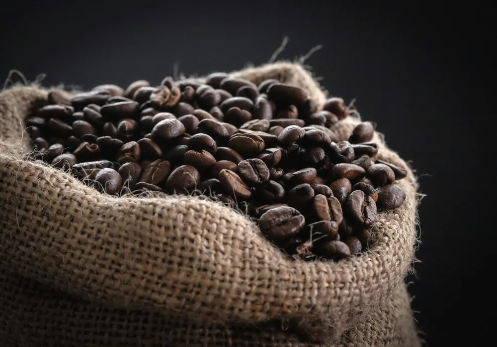 Harvested coffee beans
