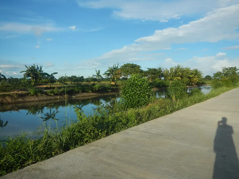 Estate water channel